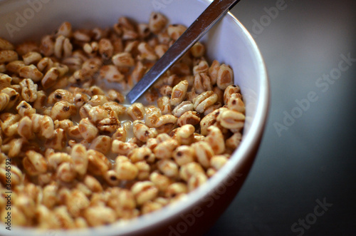 Fotografi Cereals