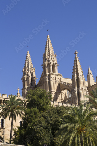 cathedral in La Palma  Mallorca