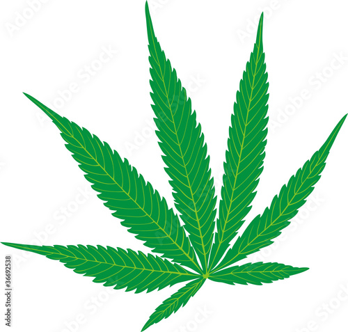 hemp