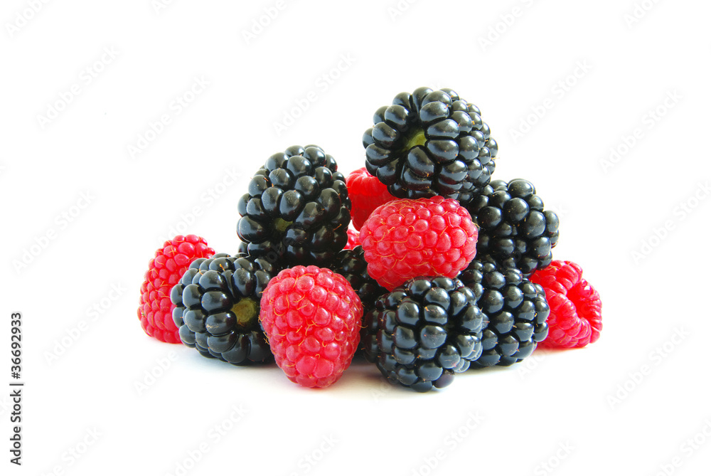raspberry and blackberry raspberry and blackberry