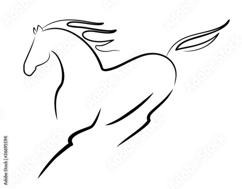 beautiful horse