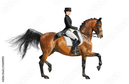 Tableau sur toile Equestrian sport - dressage