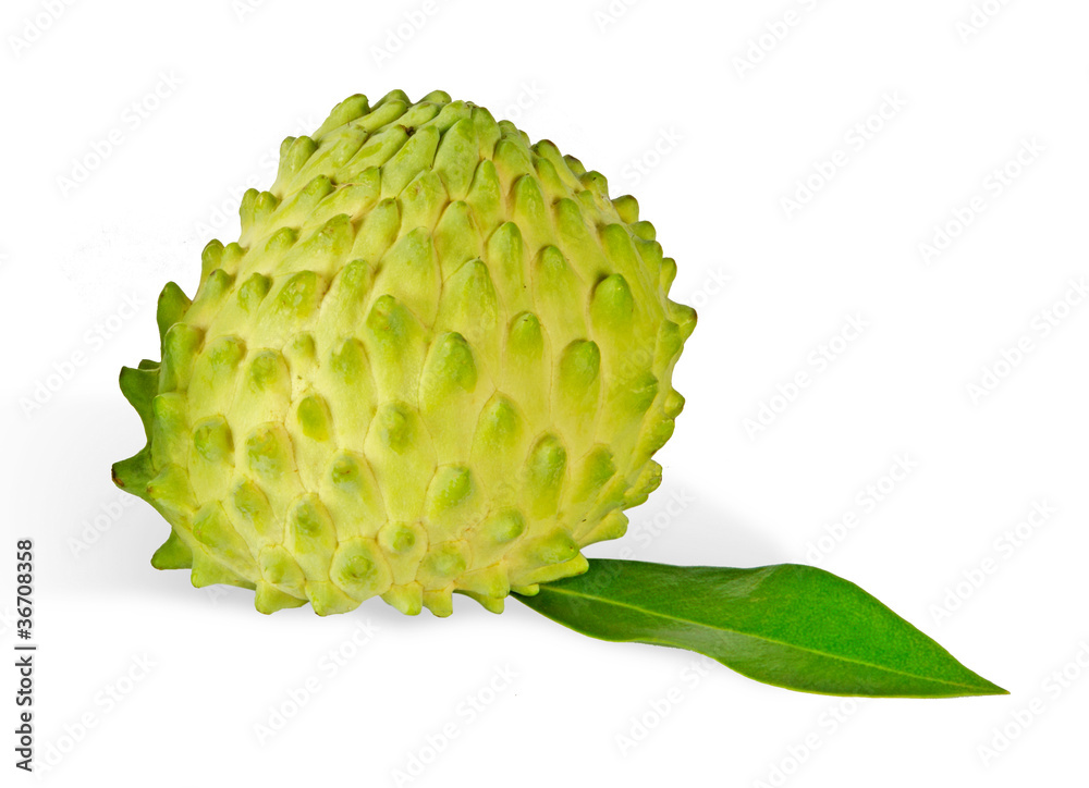 Soursop isolated on white background Soursop isolated on white background
