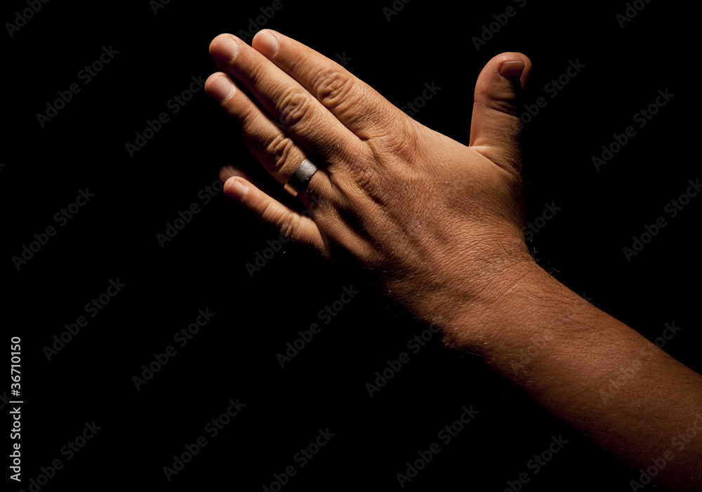 Fototapeta premium Praying Hands