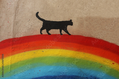 Fototapeta Black cat over the rainbow