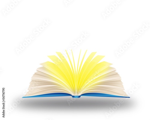 Buch - Book