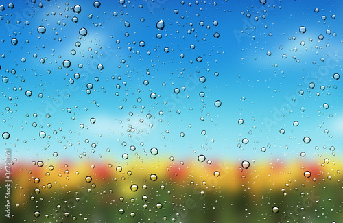 Drops of water on the glass