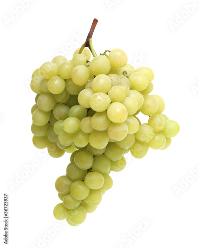 bunch of ripe green grapes