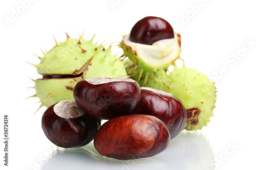 green and brown chestnuts isolated on white