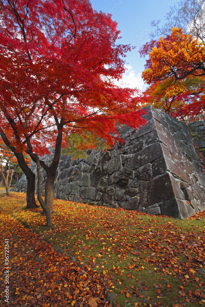 Obraz premium 盛岡城跡公園の紅葉
