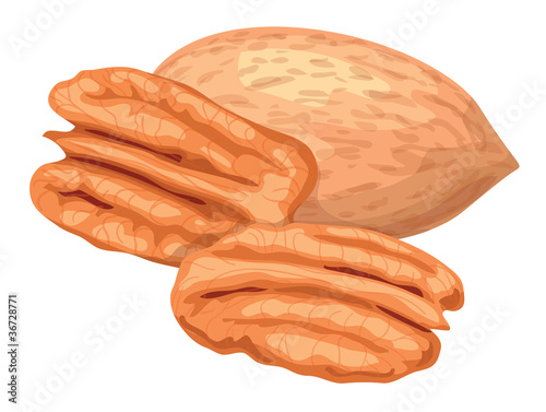 Pecan.