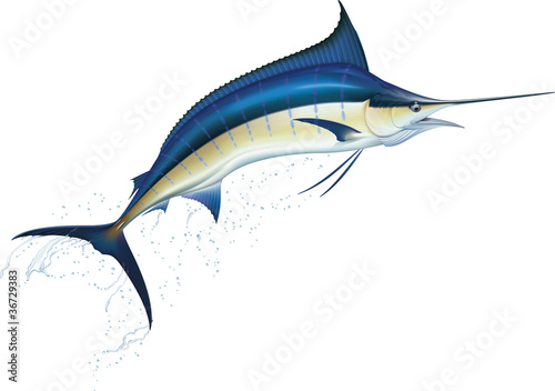 Canvas Print Blue marlin