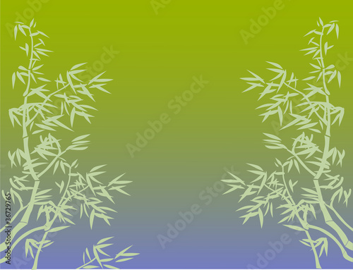 bamboo branches on green background