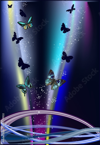dark blue illustration with butterflies and lines