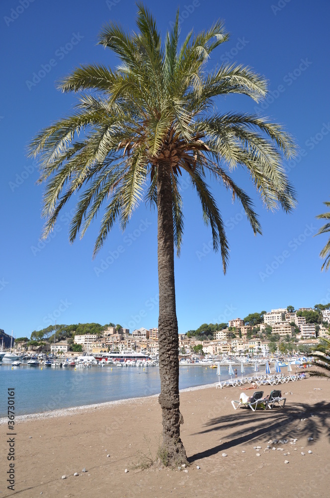 Fototapeta premium Strand in Port de Soller
