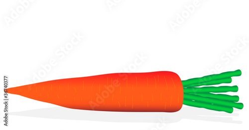 Carrot on white