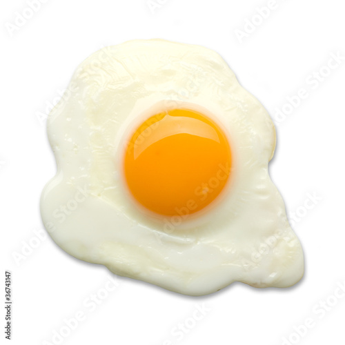 fried egg isolated