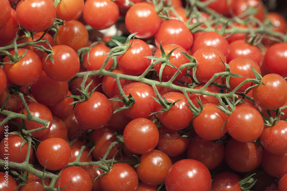 branches of sweet cherry tomatoes