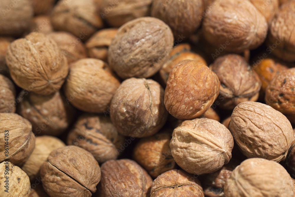 nourishing walnuts full of vitamins nourishing walnuts full of vitamins
