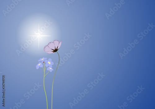 flowers