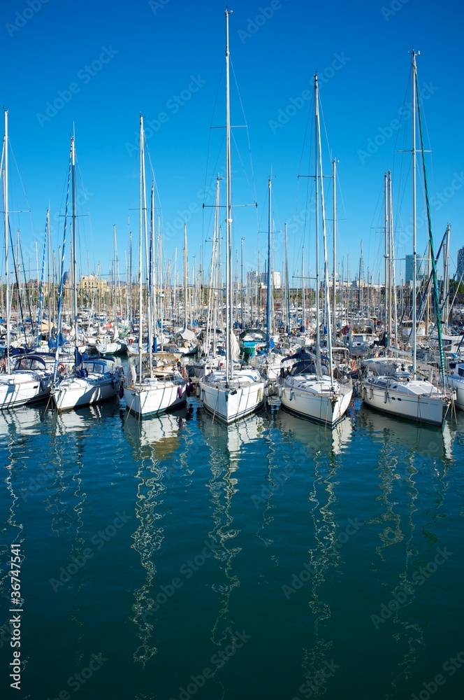 Yachts & boats in a harbour.