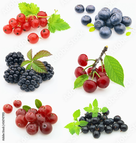 Collage from fresh berries