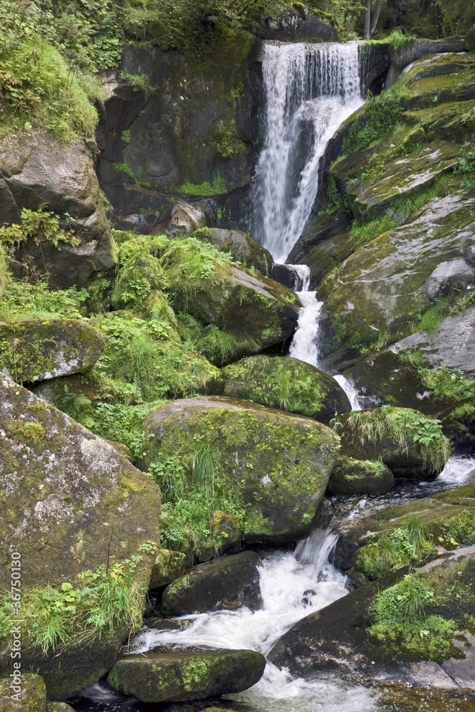 idyllic Triberg Waterfalls