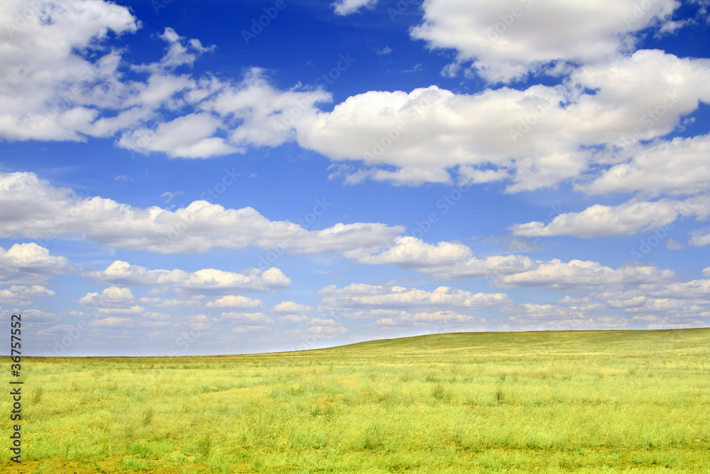 field on a background of the blue sky