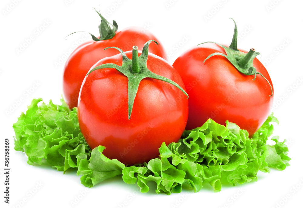 Three Red Ripe Tomatoes and lettuce on White background