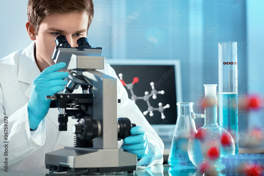 scientist working at the laboratory scientist working at the laboratory