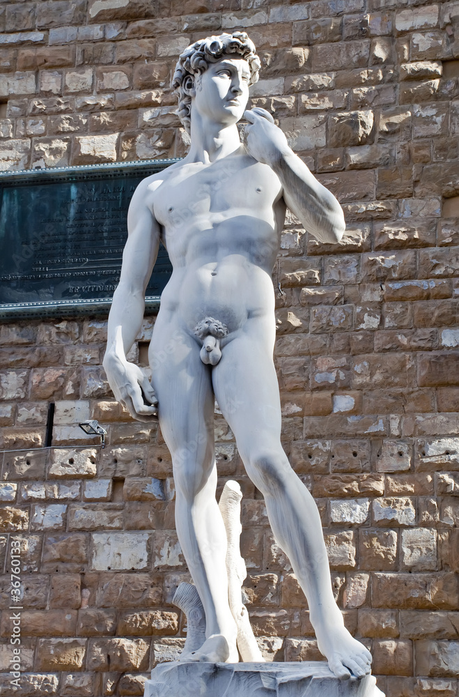 Naklejka premium Replica of Michelangelo's David