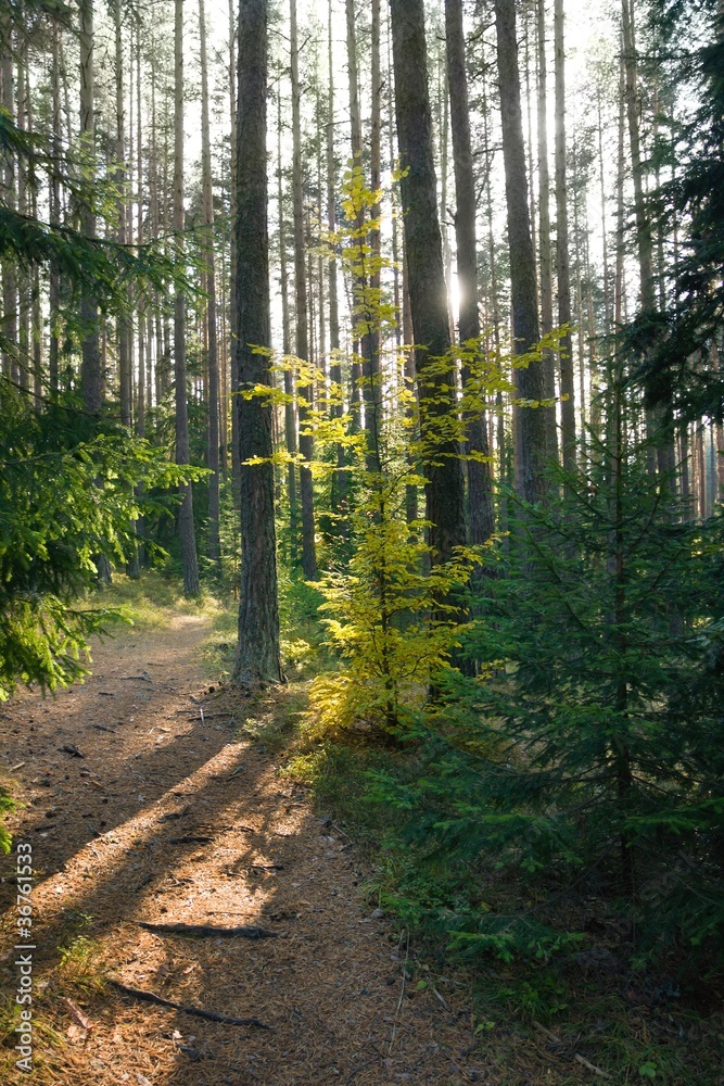 Fototapeta premium Beautiful landscape from Bulgaria