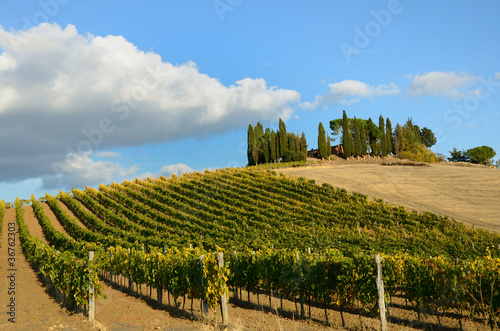 Chianti