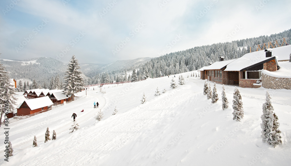 beautiful winter snow white season outdoor landscape