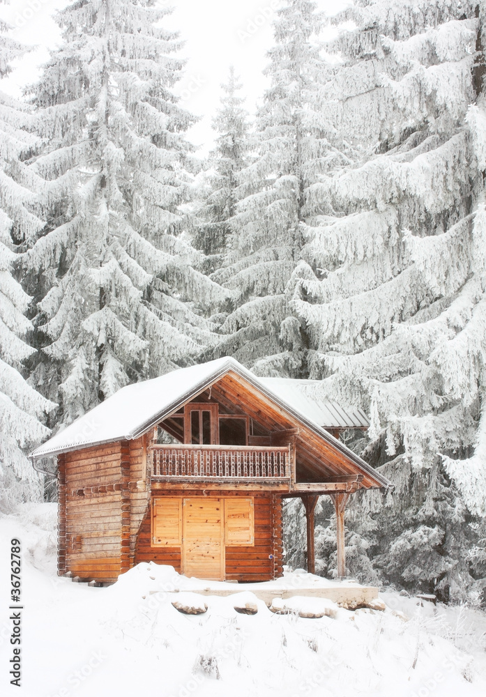 tourist accomodation appartment house for winter holydays tourist accomodation appartment house for winter holydays