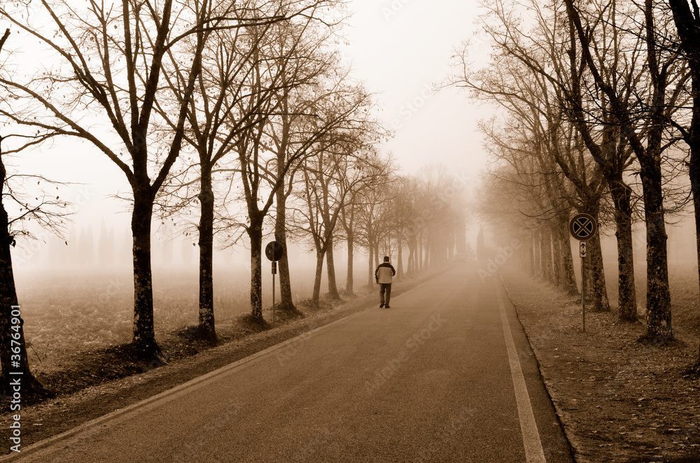 Obraz premium Walking in the fog