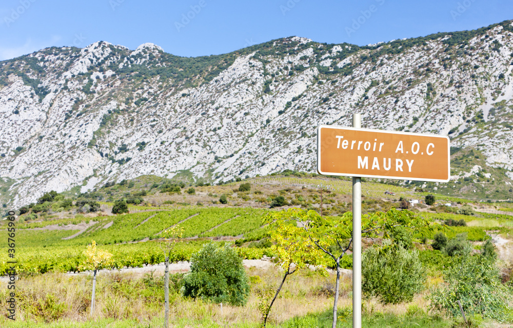 vineyar of Maury in Languedoc-Roussillon, France