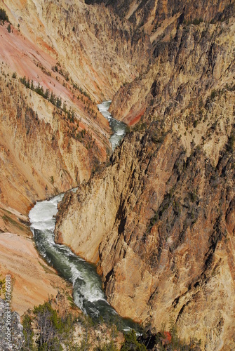 Yellowstone National Park photo