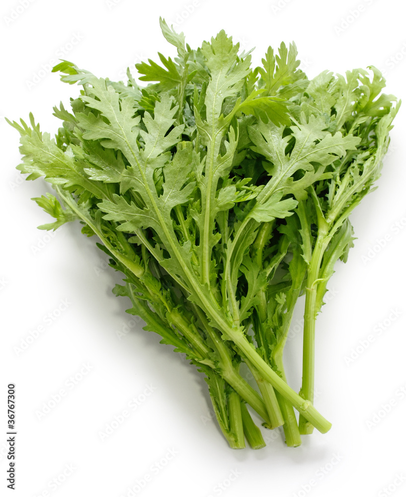 chrysanthemum greens, garland chrysanthemum, shungiku chrysanthemum greens, garland chrysanthemum, shungiku