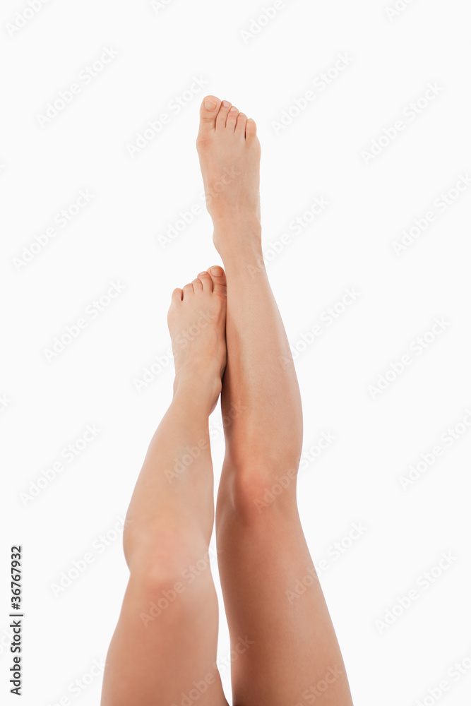 Portrait of the front of feminine legs going up Portrait of the front of feminine legs going up