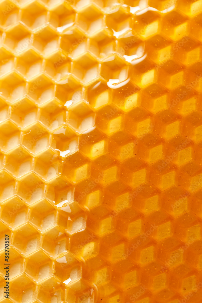 fresh honey in comb fresh honey in comb