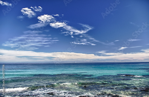 Summer landscape