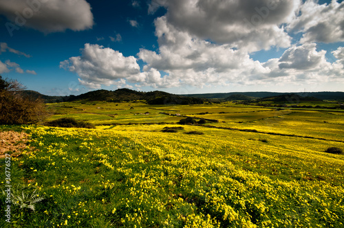 campos de Menorca