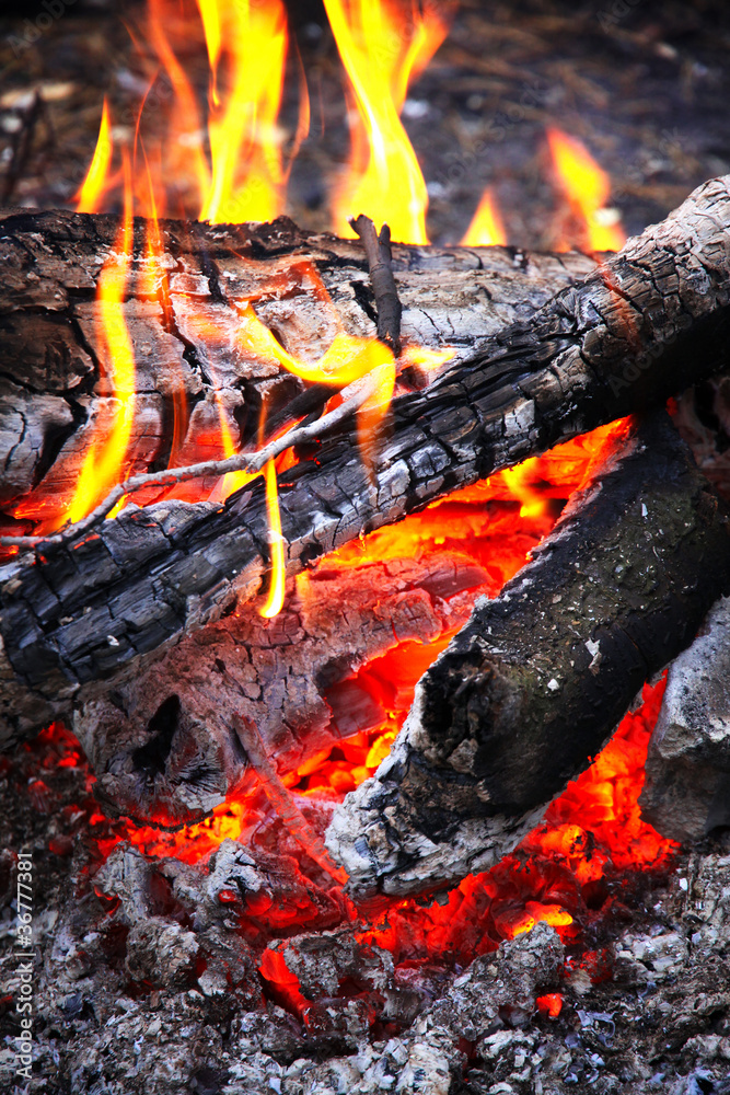 Close-up wooden campfire with burning coals Close-up wooden campfire with burning coals