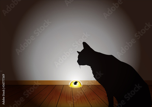 PLANCHER_MUR_Chat_Souris