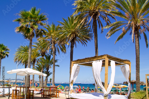 Ibiza Platja En bossa beach with palm trees photo
