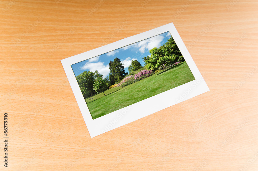 Fototapeta premium Picture frames with nature photos