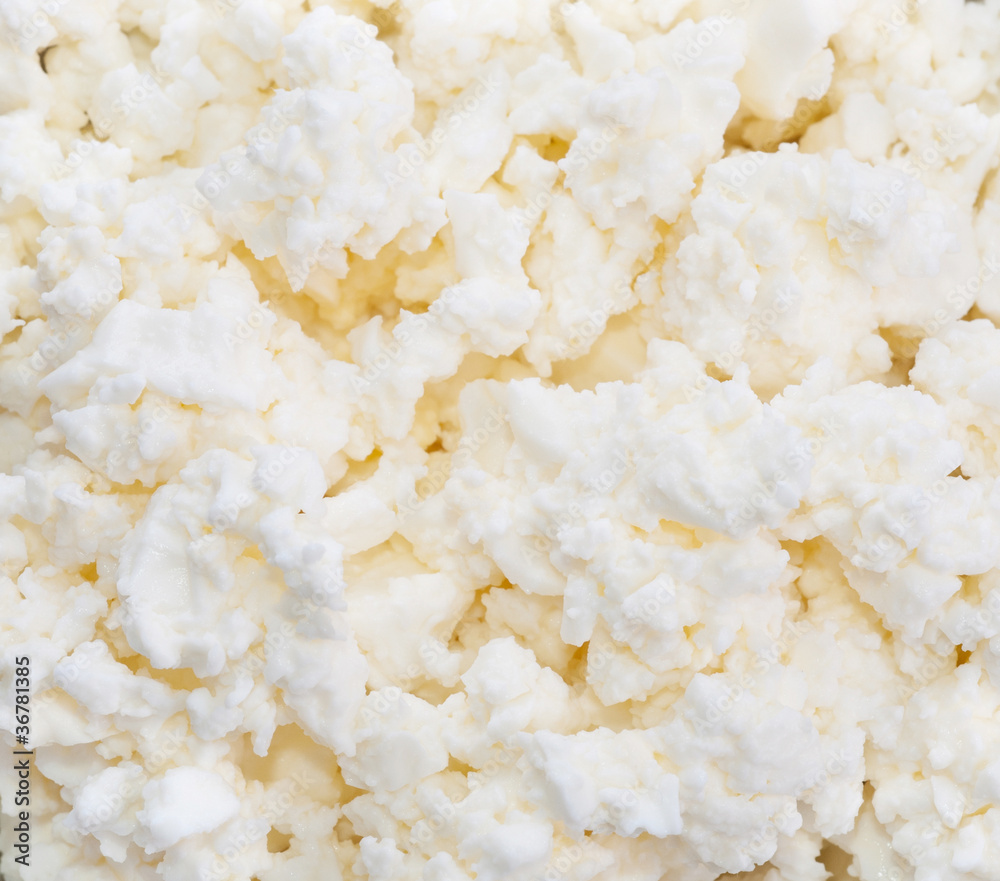 cheese cheese