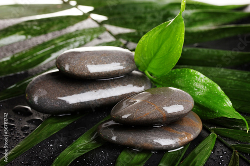 spa stones with water drops on palm leaf on black background