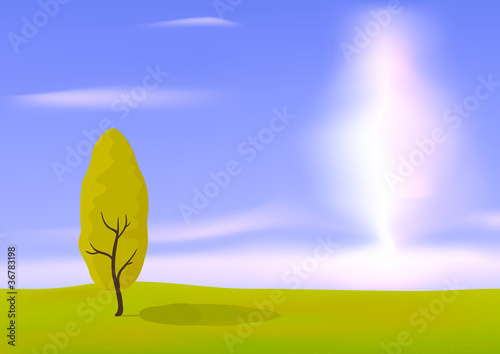 Tree one in the field
